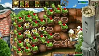 Plants vs zombies real life level 5-9