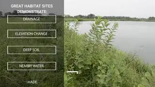 Establishing Great Pollinator Habitats