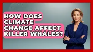 How Does Climate Change Affect Killer Whales? - Polar Regions Uncovered