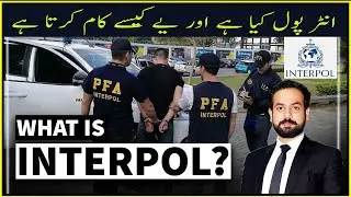 What is INTERPOL? How Does it Work