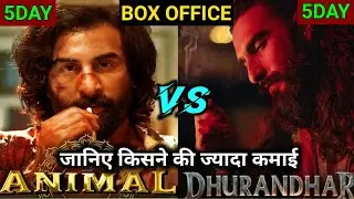 Dhurandhar vs Animal Box Office Collection | Dhurandhar Day 5 Collection | Akshaye Khanna 