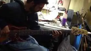 Omy Vm 5 alder rosewood bass