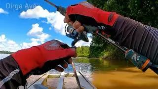 Umpan Terbaik.!! Panen Strike Mancing Lais Tembiring dan Hampala