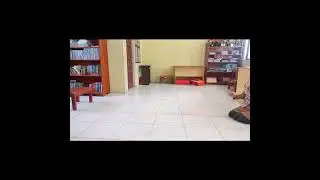 Percobaan  Sifat Pemantulan Gelombang