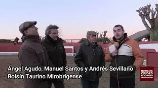 Cuarta tienta Bolsín Taurino Mirobrigense