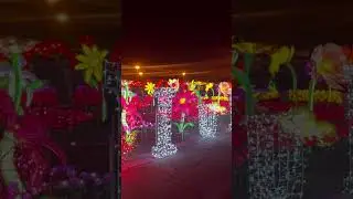 #USAfestivals #AmericanTraditions#FestiveVibesUSA #JoyOfAmerica#USAEvents# #AmericanCelebrations
