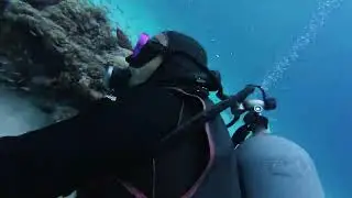 Kerama Diving /Log 10