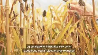 Kan og bør vi produsere all mat økologisk?