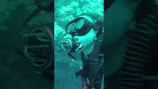 I mean, whose fins are those? #scubadiving #divingindonesia