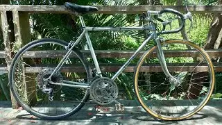 DONATELLA - A CALOI 10 1976 QUE  CRUZOU O MEU CAMINHO!