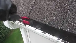 Gutter Guards?