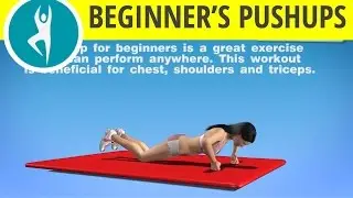 Push Ups for Women - Beginners Push Ups or Knee Pushup