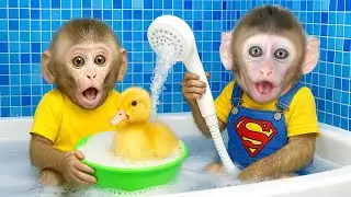 Baby Monkey Fufu Cutest bubble bath ever with monkeys and duckling! | Monkey Fufu