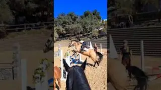 oxerr!{#horse #showpony #equestrian #equine #showjumping #horseriding #fyp}