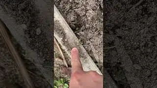 ASMR Finger POV - loose dirt