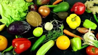 Types of Eco Friendly Pet Products