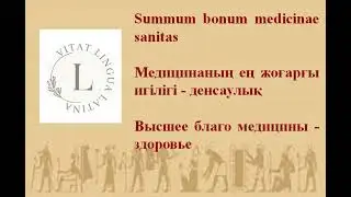 Summum bonum medicinae sanitas