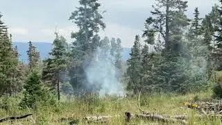 Sleeping Dragon dry, continuous fuels allow fires to spread quickly