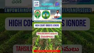High Court Orders Ignore &ndash; Tahsildar నిర్లక్ష్యం ⚖️
