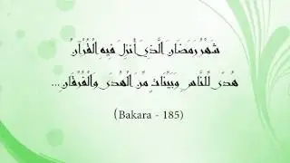 GELDİ GİDİYOR OL RAHMET AYI - İBRAHİM YAL&Ccedil;IN
