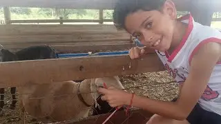 Voltei com meu canal atual