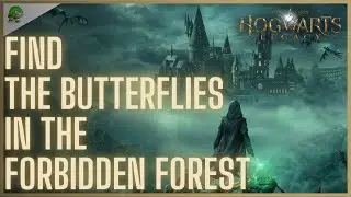Hogwarts Legacy Find the butterflies in the Forbidden Forest