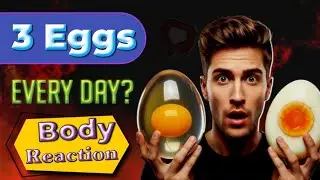 Eating Eggs 3 Times Daily for 30 Days | Inside the Human Body (3D Animation)