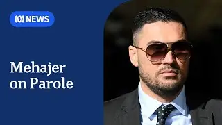 Sydney businessman turned criminal Salim Mehajer released on parole | ABC NEWS