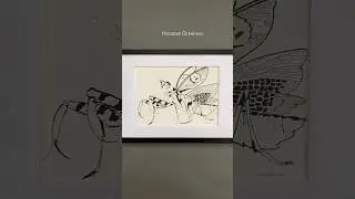 Графика тушью Шипастый цветочный богомол #inkdrawing #inkart #inkartist #inkartwork