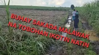 Sakada sa Negros samahan nyo ako lilibot ko kayo