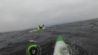 Little Swedish downwind Nyn&auml;s