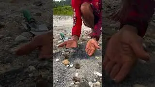 The discovery of black sand where gold gathers #shorts #gold #goldmine #goldhunter #goldsearch