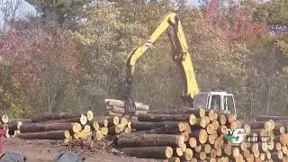 Northern Hardwoods to purchase boiler, turbine upgrades with state and federal assistance