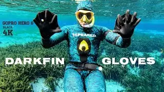 DarkFin Gloves // Best Diving Gloves on the Market // Alexander Springs // FLORIDA