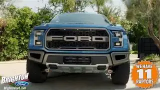 Brighton Ford Has 11 New Raptors Just Waiting For Adventure