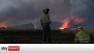 Heatwave engulfs Spain as wildfires rage