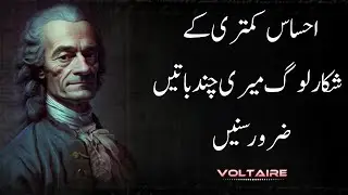 Philosophy Reloaded: Voltaire's Most Impactful Quotes about Self esteem