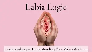 2. The Labia Landscape: Understanding Your Vulvar Anatomy