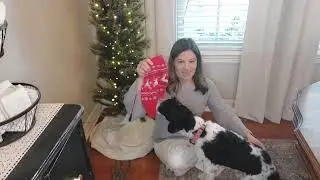 Testing the Christmas Dog Sweaters  for 7 Days &mdash; What We Learned W9846