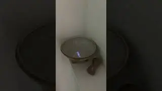 Molcajete y Tejolote (clip)