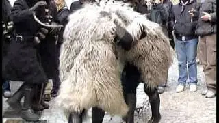 Fonni - Viaggio nella tradizione pastorale
