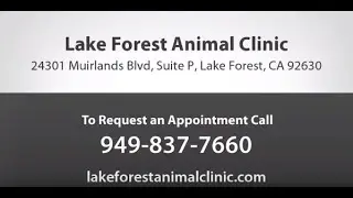 Welcome to Lake Forest Animal Clinic
