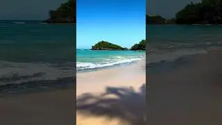 🌴 Find Your Shade: Tropical Shoreline Peace.