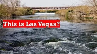 A Different side of LAS VEGAS: Clark County Wetlands Park and the Las Vegas Wash