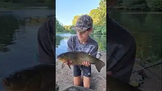 BEAUTIFUL TENCH from a stunning lake in the Forest Of Deanfish🐠🎣🐟  #fishing #tenchfishing  #bigfish