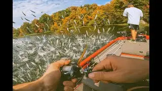 Catching BASS in an Insane FEEDING FRENZY on Schooling Shad!!!!!