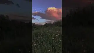 #gahcanox #глобальныерекомендации #а4 #hk #рек #тренд #gachaanimation #tiktok #genius #happy