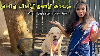 ചിരിക്കല്ലേ ചിരി നിർത്താൻ പറ്റുള്ള 🤣 Laze media Viral videos compilation Part 1