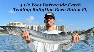 Crazy 4 1/2 Foot Barracuda Smacks the Ballyhoo My First Time Ever Trolling  2 Epic Jumps! Like & Sub