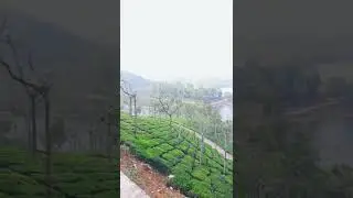 anayirankal dam view point . Pooppara- chinnakkanal -devikulam -munnar route
